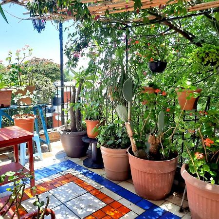 La Terraza Del Pochote Oaxaca Eksteriør bilde