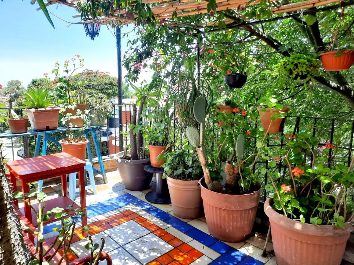 La Terraza Del Pochote Oaxaca Eksteriør bilde